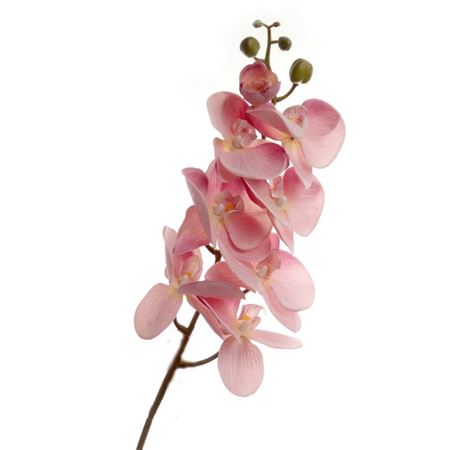 Artificial Orchid Phalaenopsis Bisque
