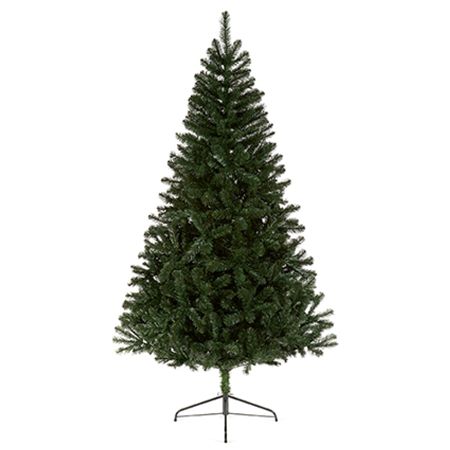 Tree Woodcote Spruce 3m