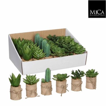 Artificial Succulent Assorted Hessian Pot (PACK OF 3)