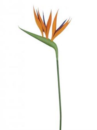 Artificial Birds Of Paradise Mini  (PACK OF 2 )