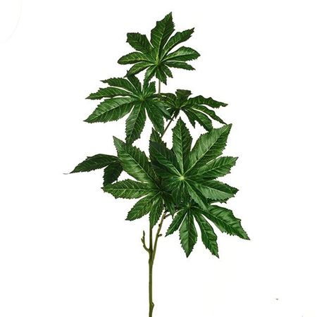 Artificial Papaya Leaf