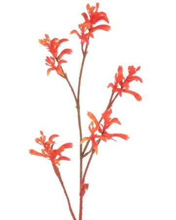 Artificial Kangaroo Paw Spray Orange