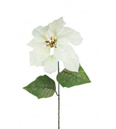 Poinsettia 75cm White (pack of 2)