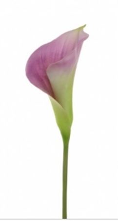 Artificial Curly Calla Purple (PACK OF 2)