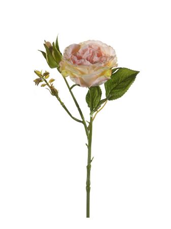 Artificial Rose Anne Peach (PACK OF 2)