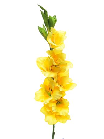 Artificial Gladdy Yellow (PACK OF 2)
