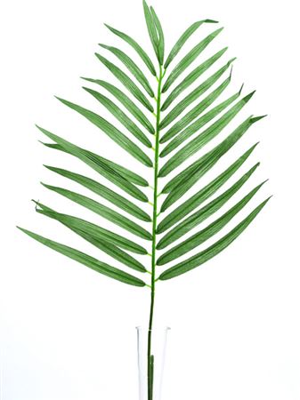 Artificial Parlour Palm 70cm(PACK OF 3)