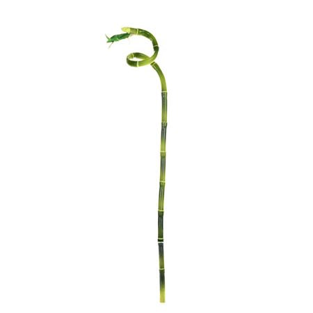 Artificial Lucky Bamboo (PACK OF 2)