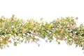 Artificial Garland Gyp Mix 180cm