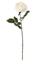 Artificial Balmoral Old Garden Rose Cream (PACK OF 2)