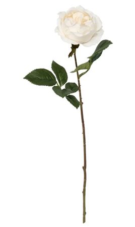 Artificial Balmoral Old Garden Rose Cream (PACK OF 2)