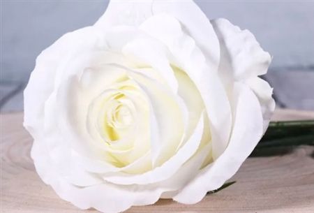 Artificial Camelot Open Rose Small Bridal Ivory (PACK OF 2)