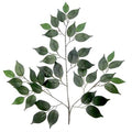 Artificial Fiscus Branch Green 60cm (PACK OF 4)
