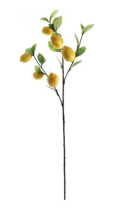 Artificial Lemon Branch