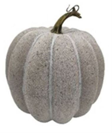 Pumpkin Grey 19cm