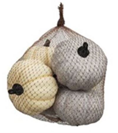 Pumpkin Cream & Green 10cm X6