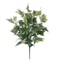Artificial Ivy Bush Varigated Leaf