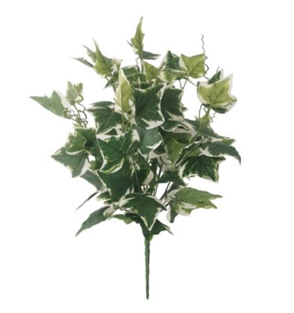 Artificial Ivy Bush Varigated Leaf