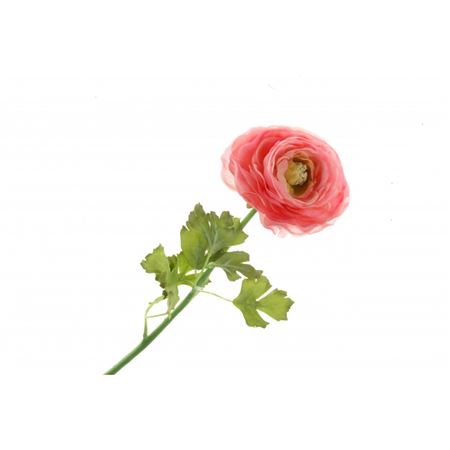 Artificial Ranunculus Stem Pink (PACK OF 2)