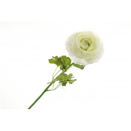 Artificial Ranunculus Cream (PACK OF 2)