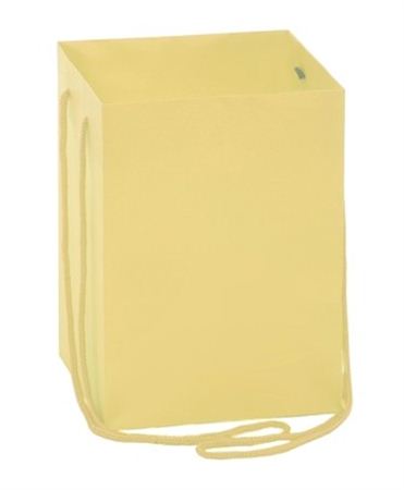 Bouquet Bag Ivory 25cm