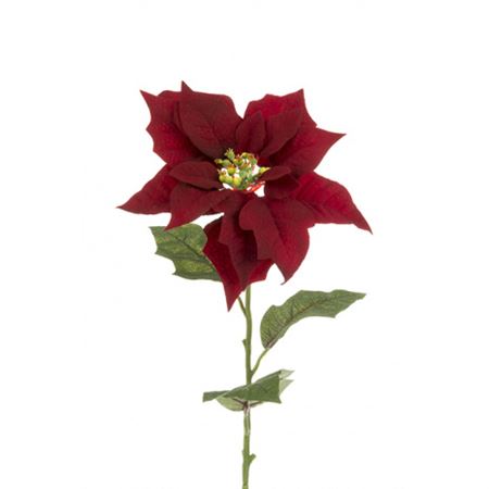 Poinsettia Velvet 75cm Red