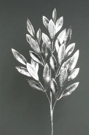 Metallic Laurel Leaf Spray Silver