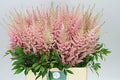 Farm Fresh Astilbe Avalanche (Bunch of 20 stems, Length 60-70cm)
