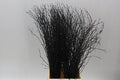 Berk Black