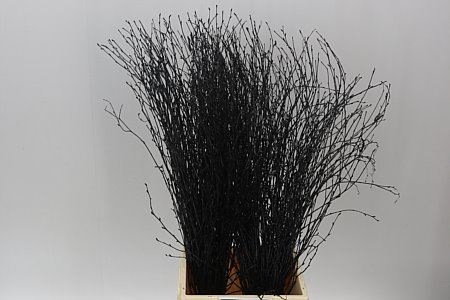 Berk Black