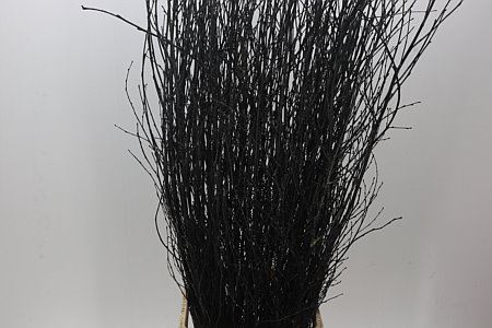 Berk Black 120cm