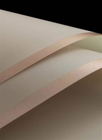 Cello Sheet Frosted Champ Peach Gold Bord