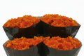 Farm Fresh Chrysanthemum G Bellavista ( Bunch of 10 stems, Length 70-80cm)