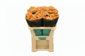 Farm Fresh Chrysanthemum G Kalimba Salmon ( Bunch of 10 stems, Length 70cm)