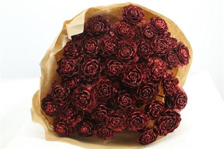 Dried Cederroos Red