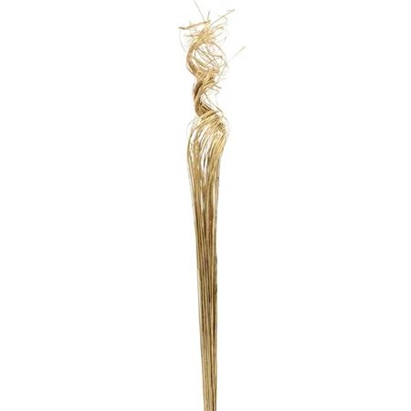 Dried Ting Ting Gold