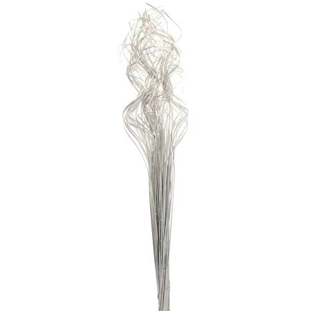 Dried Ting Ting Silver