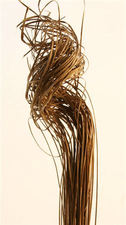 Dried Ting Ting Natural