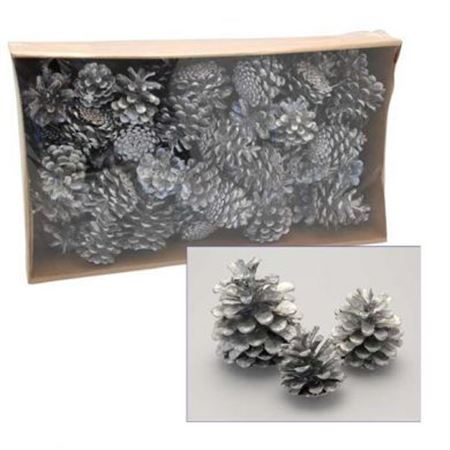 Dried Pine Cone Silver 1kg