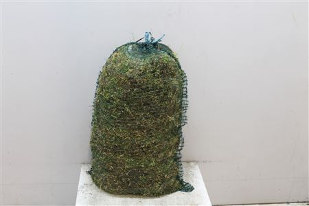 Moss Spagnum Bag