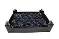 Pinecone 6-8cm 30 Pieces Black