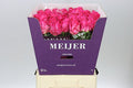 Farm Fresh Rosa Gr Purple Star(Bunch of 10stems, Length 70cm)