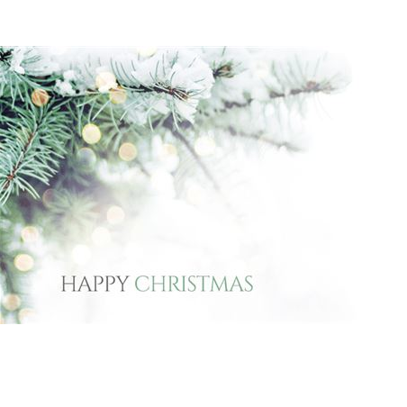 Small Card Christmes Frosted Pine