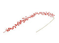 Stem Berry Glitter Red 100cm  (PACK OF 2)