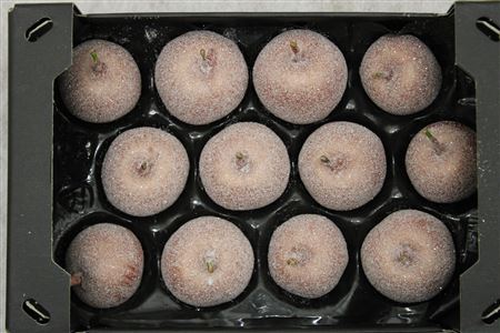 Wax Apple Copper Glitter