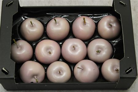 Wax Apple Ivory