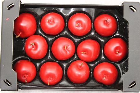 Wax Apple Red