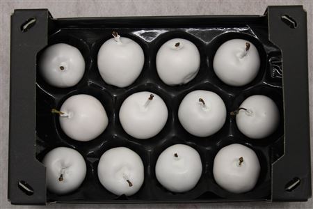 Wax Apple White
