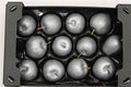 Wax Apple Silver