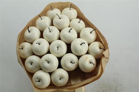 Dried Appel White